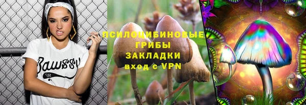 кокс Арсеньев